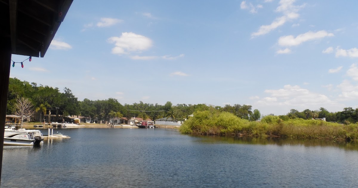 Amiable Amy At Lake Conway in Belle Isle Orlando